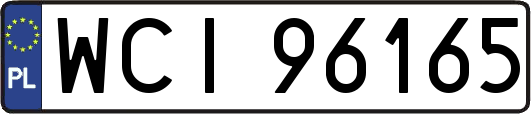 WCI96165