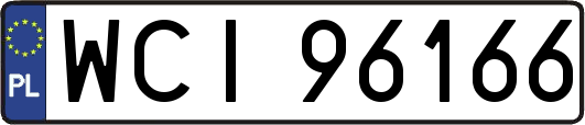 WCI96166