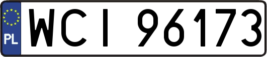 WCI96173
