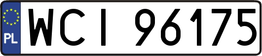 WCI96175