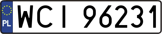 WCI96231
