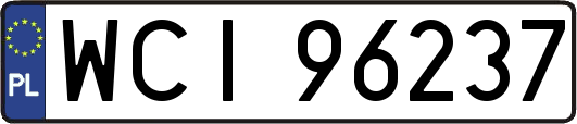 WCI96237