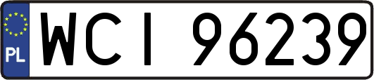 WCI96239