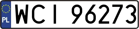 WCI96273