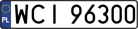WCI96300