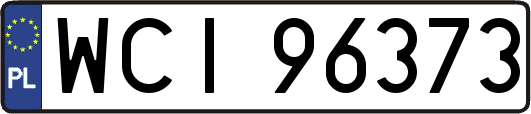 WCI96373