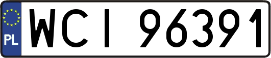 WCI96391