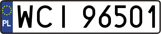 WCI96501
