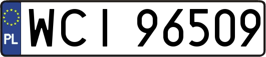 WCI96509
