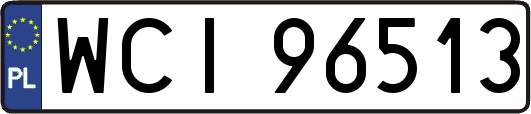 WCI96513