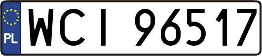 WCI96517