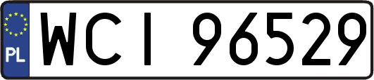 WCI96529
