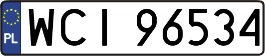 WCI96534