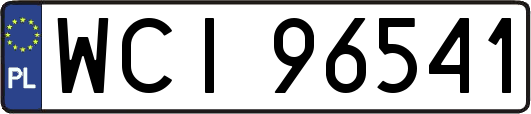 WCI96541