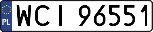 WCI96551