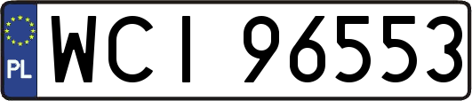 WCI96553