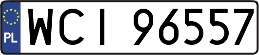 WCI96557