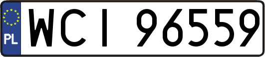 WCI96559