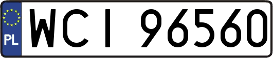 WCI96560
