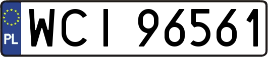 WCI96561