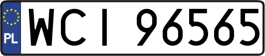 WCI96565