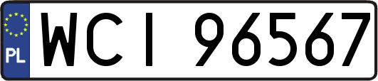 WCI96567