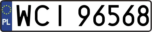 WCI96568