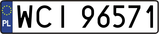 WCI96571
