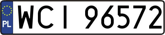 WCI96572