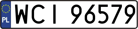 WCI96579