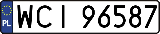 WCI96587