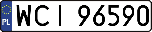 WCI96590
