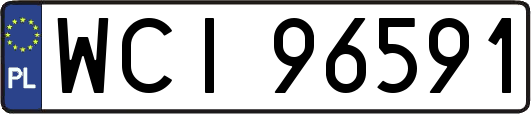 WCI96591
