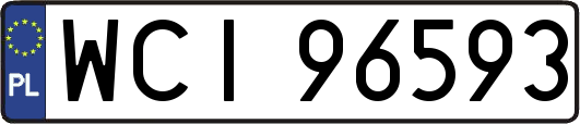 WCI96593