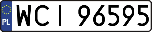 WCI96595