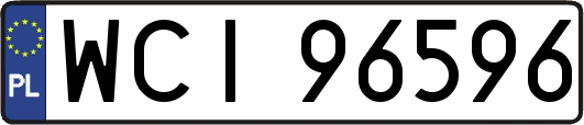 WCI96596