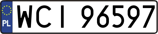 WCI96597