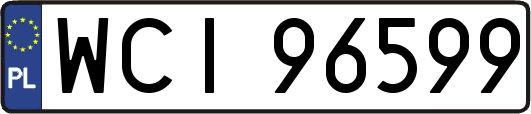WCI96599