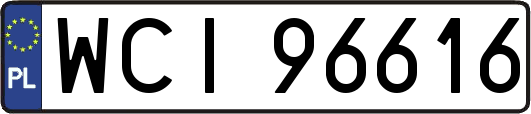 WCI96616