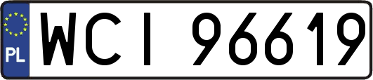 WCI96619