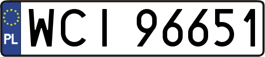 WCI96651