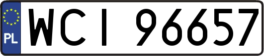 WCI96657