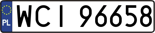 WCI96658