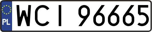 WCI96665