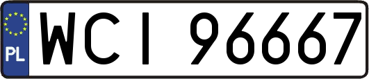 WCI96667