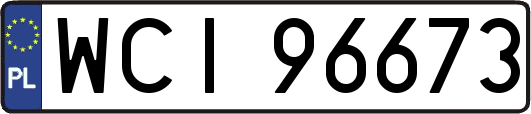 WCI96673
