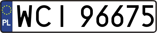 WCI96675