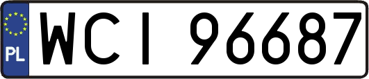 WCI96687