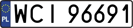 WCI96691