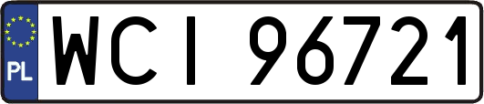 WCI96721